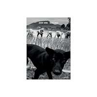 Hannibal Books Sidelines (inbunden, dut)