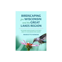 University of Wisconsin Press Birdscaping for Wisconsin and the Great Lakes Region (häftad, eng)