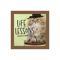 Fox Chapel Publishing Life Lessons from Cats (inbunden, eng)
