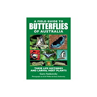 New Holland Publishers A Field Guide to Butterflies of Australia (häftad, eng)