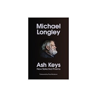 Vintage Publishing Ash Keys (häftad, eng)