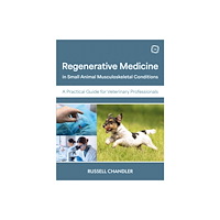 5M Books Ltd Regenerative Medicine in Small Animal Musculoskeletal Conditions (häftad, eng)