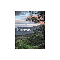 Amber Books Ltd Forests (inbunden, eng)