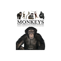 Amber Books Ltd Monkeys (häftad, eng)