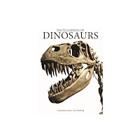 Amber Books Ltd Encyclopedia of Dinosaurs (inbunden, eng)