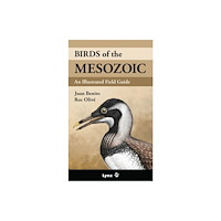 Alada Books, S.L. Birds of the Mesozoic (häftad, eng)