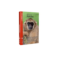 Alada Books, S.L. Neotropical primates (häftad, eng)