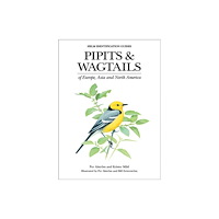 Bloomsbury Publishing PLC Pipits and Wagtails of Europe, Asia and North America (inbunden, eng)