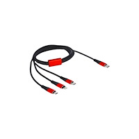 DeLOCK Delock 3 in 1 dedikerad laddningskabel - Lightning / USB 2.0 - 1 m