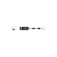 DeLOCK Delock - Thunderbolt-adapter - USB-C till DisplayPort - 20 cm