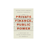 Princeton University Press Private Finance, Public Power (inbunden, eng)