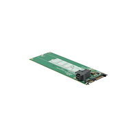DeLOCK Delock Converter SATA 22 pin / SFF-8643 NVMe > 1 x M.2 NGFF Key M - gränssnittsadapter - M.2 Card - SAS 6Gb/s, SATA 6Gb/...