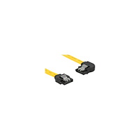DeLOCK Delock SATA-kabel - 10 cm
