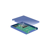 DeLOCK Delock - förvaringslåda - M.2 Card / mSATA - USB 3.1 (Gen 2)