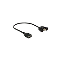 DeLOCK Delock - Typbytare för USB - USB till USB - 25 cm
