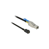 DeLOCK Delock SAS-kabel intern till extern - 1 m