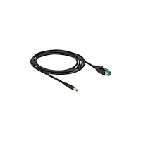 DeLOCK Delock - USB-kabel med egen strömförsörjning - USB PlusPower (12 V) till växelströmsuttag 2,1/5,5 mm - 2 m
