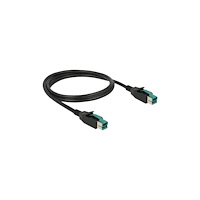 DeLOCK Delock - USB-kabel med egen strömförsörjning - USB PlusPower (12 V) till USB PlusPower (12 V) - 1 m