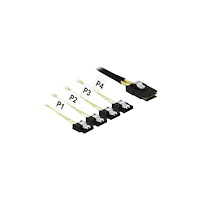 DeLOCK Delock SATA/SAS-kabel - 1 m