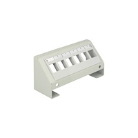 DeLOCK Delock Keystone Multimedia Panel - ytmonterad distributionsbox