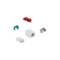 DeLOCK Delock Secure Clip Starter Set - säkerhetslåsset för LAN-kabel