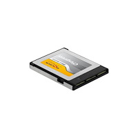 DeLOCK Delock - flash-minneskort - 256 GB - CFexpress