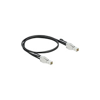 DeLOCK Delock extern SAS-kabel - 1 m