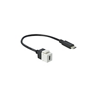 DeLOCK Delock Keystone module - USB typ C-kabel - 24 pin USB-C till 24 pin USB-C - 25 cm