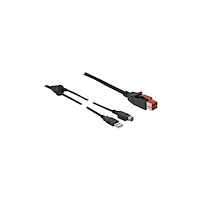 DeLOCK Delock - USB-kabel med egen strömförsörjning - 2 m