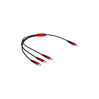 DeLOCK Delock - USB typ C-kabel - USB-C till USB-C - 30 cm