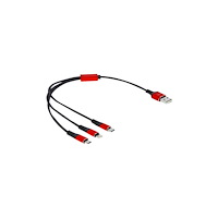 DeLOCK Delock 3 in 1 dedikerad laddningskabel - Lightning / USB 2.0 - 30 cm