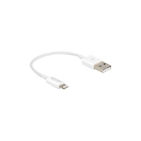 DeLOCK Delock Lightning-kabel - Lightning / USB - 15 cm