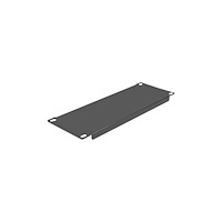 DeLOCK Delock blindpanel till rack - 2U - 10"