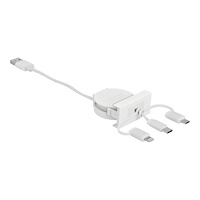 DeLOCK Delock Easy Lightning-kabel - 50 cm