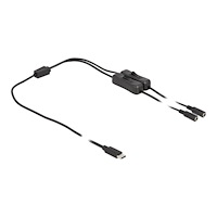 DeLOCK Delock - strömdelare - 24 pin USB-C till DC-jack 5,5 x 2,1 mm - 1 m