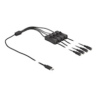 DeLOCK Delock - strömdelare - 24 pin USB-C till DC-jack 5,5 x 2,1 mm - 1 m