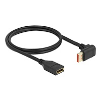 DeLOCK Delock - DisplayPort-förlängningskabel - DisplayPort till DisplayPort - 1 m