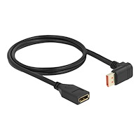 DeLOCK Delock - DisplayPort-förlängningskabel - DisplayPort till DisplayPort - 1 m