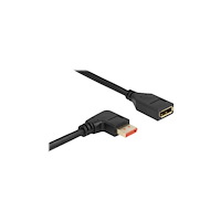 DeLOCK Delock - DisplayPort-förlängningskabel - DisplayPort till DisplayPort - 2 m