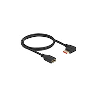 DeLOCK Delock - DisplayPort-förlängningskabel - DisplayPort till DisplayPort - 1 m