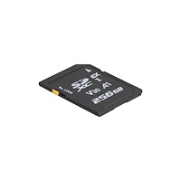 DeLOCK Delock - flash-minneskort - 256 GB - SD