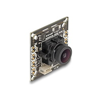 DeLOCK Delock - övervakningskamera