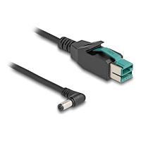 DeLOCK Delock - USB-kabel med egen strömförsörjning - USB PlusPower (12 V) till DC-jack 5,5 x 2,1 mm - 3 m