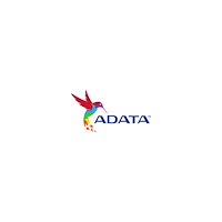 ADATA Technology ADATA - DDR5 - sats - 32 GB: 2 x 16 GB - DIMM 288-pin / PC5-48000