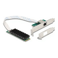DeLOCK Delock - nätverksadapter - M.2 2280 (B+M Key) - 100M/1G/2.5G/5G/10 Gigabit Ethernet