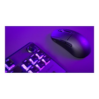 Voyetra Turtle Beach Turtle Beach Burst II Air - mus - 2.4 GHz, Bluetooth, USB-C - svart