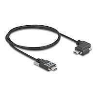 DeLOCK Delock - USB typ C-kabel - 24 pin USB-C till 24 pin USB-C - 1 m