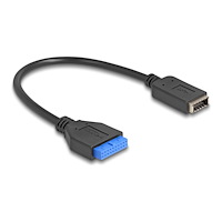 DeLOCK Delock - USB-internkabel - 19-polig USB-header till 20 pin Key A - 25 cm