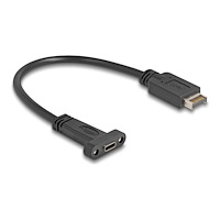 DeLOCK Delock - USB-internkabel - 24 pin USB-C till 20 pin Key A - 25 cm