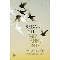 Libris förlag Redan nu men ännu inte : festskrift för Mikael Tellbe (bok, kartonnage)